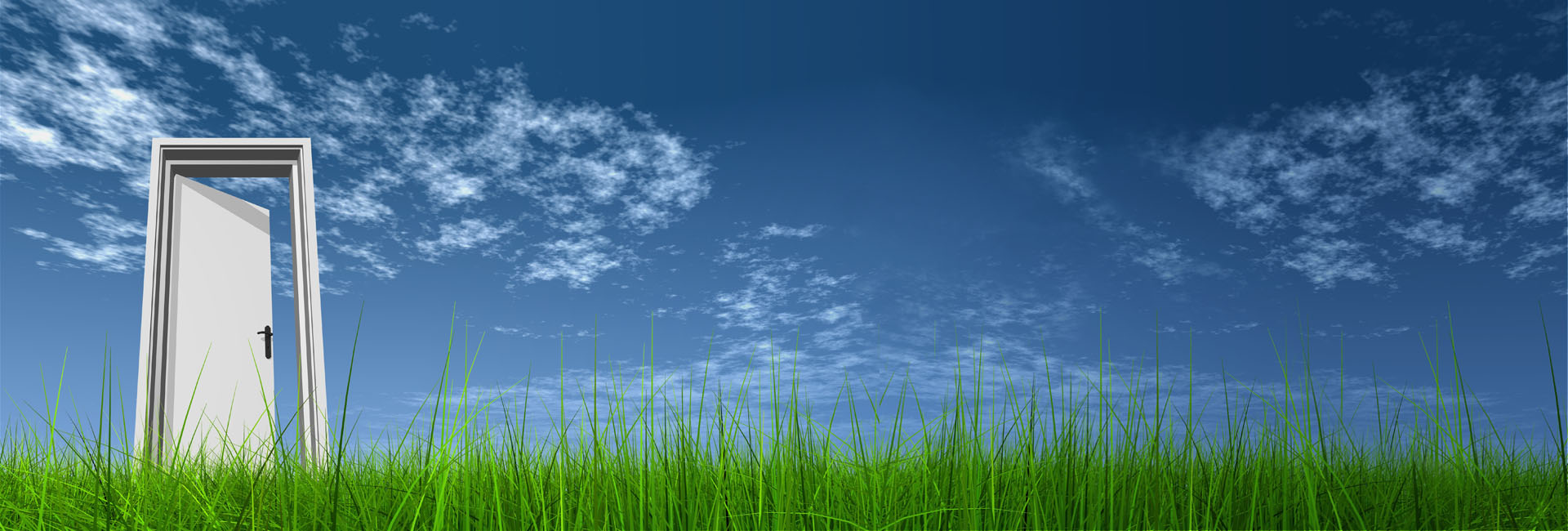 Title Image